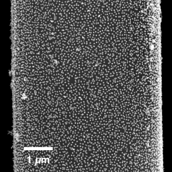 Example nanoparticle speckle pattern on carbon fiber